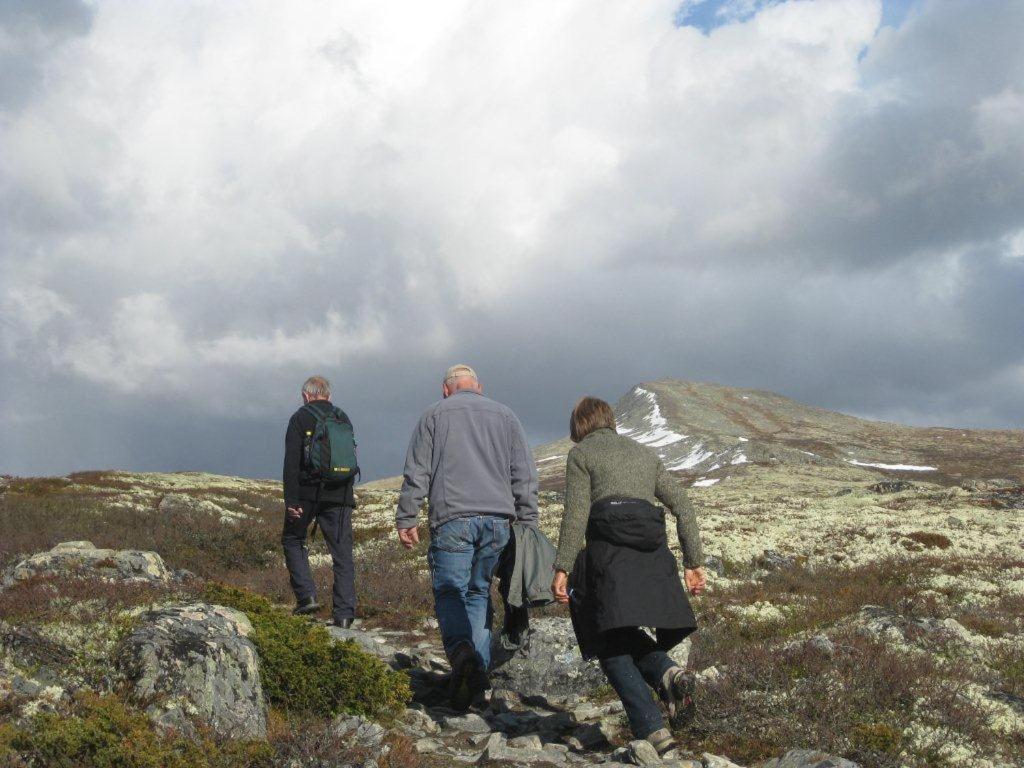 Putten Seter Hovringen Bagian luar foto
