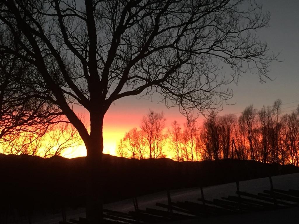 Putten Seter Hovringen Bagian luar foto