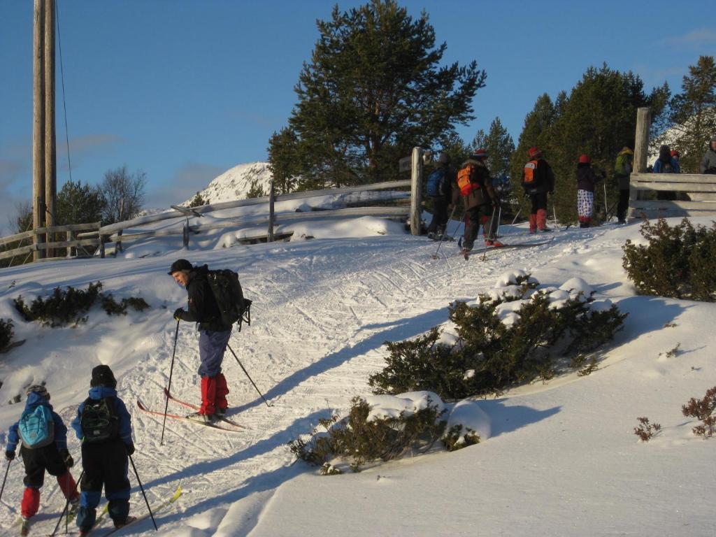 Putten Seter Hovringen Bagian luar foto