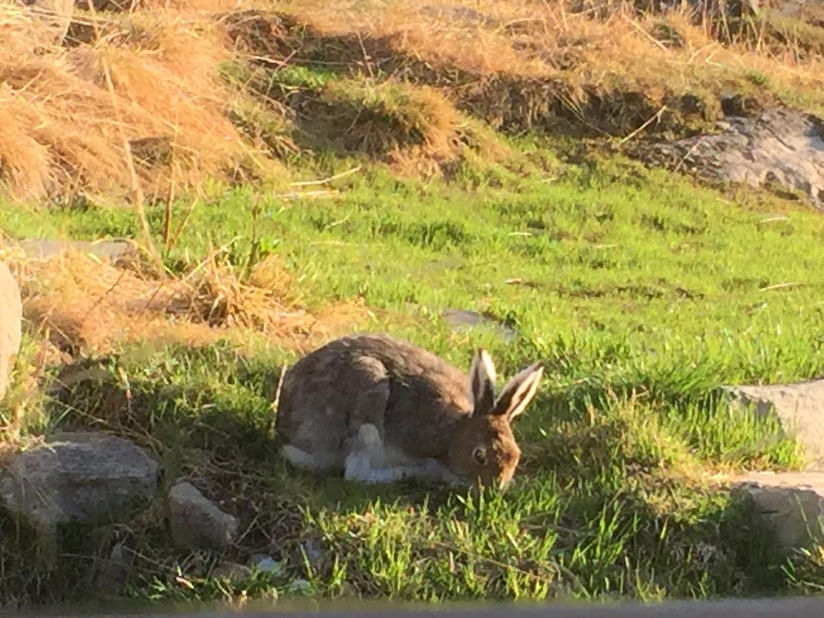 Putten Seter Hovringen Bagian luar foto