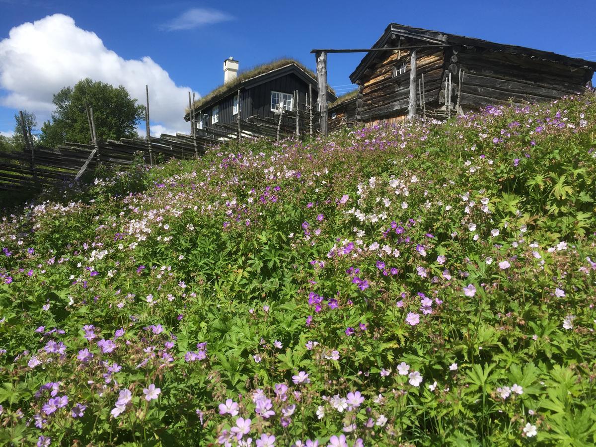 Putten Seter Hovringen Bagian luar foto